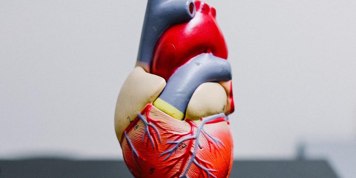 coeur